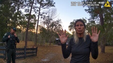 Grandmother Begs a Fake Hitman to Take Out Her Own Brother Over ,000