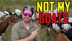 I Failed at Homesteading. Here’s Why. I Failed at Homesteading. Here’s Why.