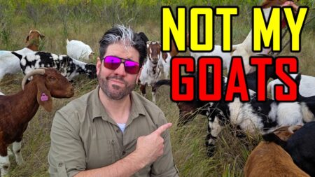 I Failed at Homesteading. Here’s Why. I Failed at Homesteading. Here’s Why.